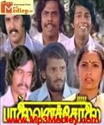Paalaivana Soolal 1981